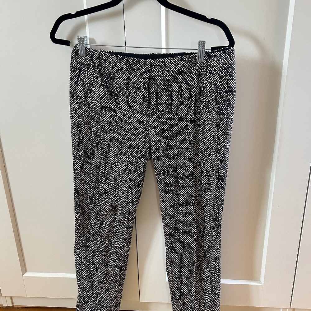 The Limited pants